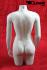 Weiblicher Schaufensterpuppen-Torso, wei�