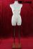 Weiblicher Schneidertorso mit Beinansatz