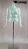 Weiblicher Torso headless white mat mit Armen