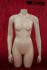 Weiblicher Torso mit Beinansatz