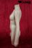 Weiblicher Torso mit Beinansatz