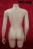 Weiblicher Torso mit Beinansatz