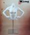 Weiblicher Torso, wei