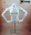 Weier mnnlicher Torso