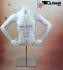 White male torso
