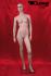 Window dummy, female