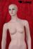 Window dummy, female