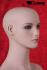 Window dummy, female