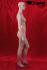 Window dummy, female